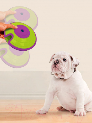 Игрушка для собак Nina Ottosson Лечебный лабиринт 67575M