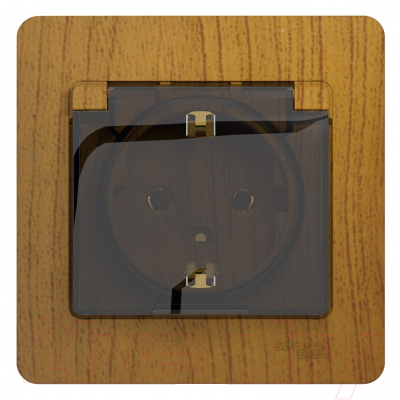 Розетка Systeme (Schneider) Electric Glossa GSL000546 - фото