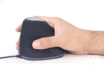 Мышь Gembird MUS-ERGO-03
