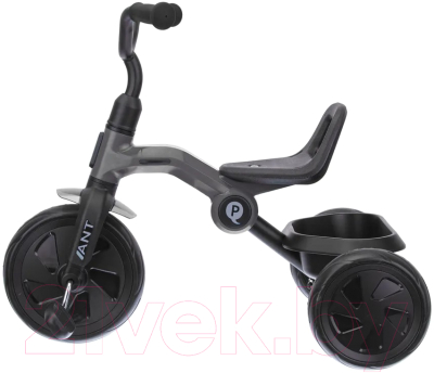 Трехколесный велосипед QPlay LH509G