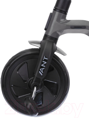 Трехколесный велосипед QPlay LH509G