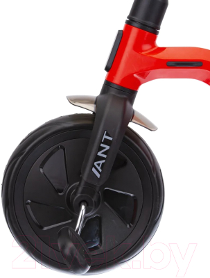 Трехколесный велосипед QPlay LH509R