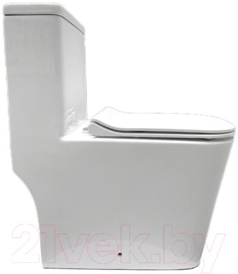 Унитаз напольный Triton Pro Mono MO-8706 (с сиденьем и арматурой)