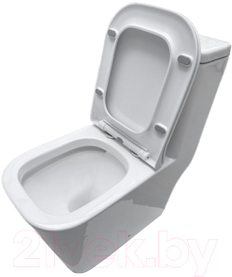 Унитаз напольный Triton Pro Mono MO-8706 (с сиденьем и арматурой)