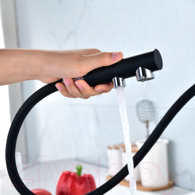 Смеситель Paulmark Serpentine Se213222-401 (антрацит)