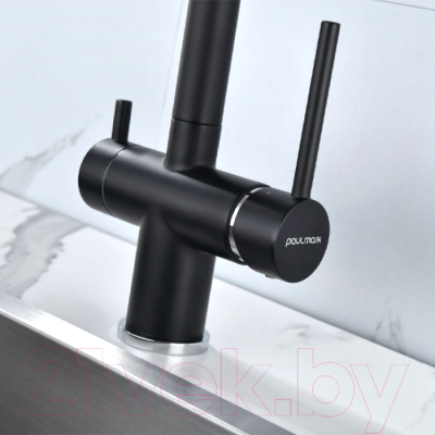 Смеситель Paulmark Serpentine Se213222-401 (антрацит)