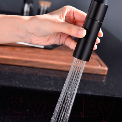 Смеситель Paulmark Tornado To213402-401