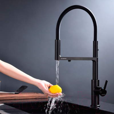 Смеситель Paulmark Tornado To213402-401