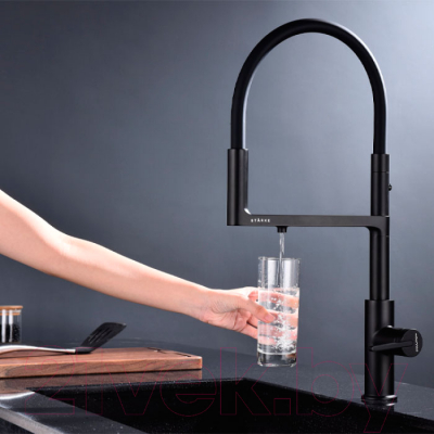 Смеситель Paulmark Tornado To213402-401