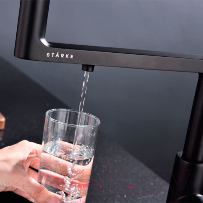 Смеситель Paulmark Tornado To213402-401