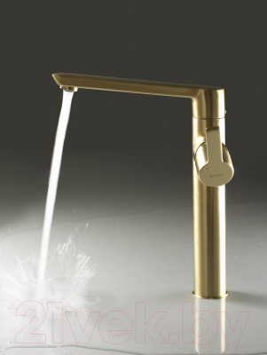 Смеситель Deante Arnika BQA R20K (золото)