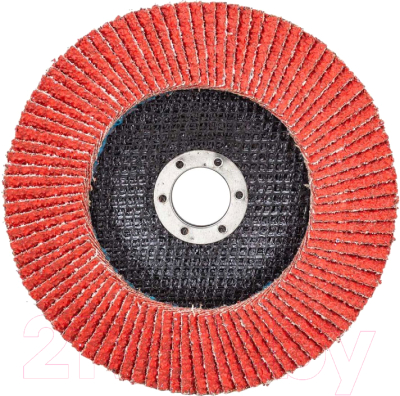 Шлифовальный круг Forsage F-FD636Q