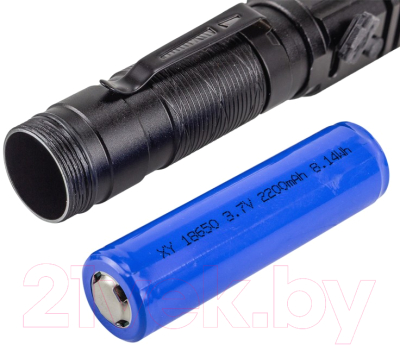 Фонарь Forsage F-BF110