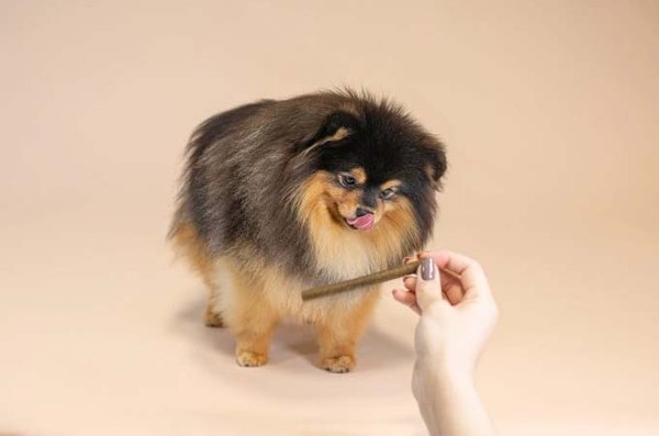 Лакомство для собак Nature's Protection Lifestyle с белой рыбой / KIKNPLS47207