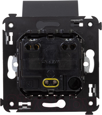 Розетка DKC Avanti 2P+E / 4412013