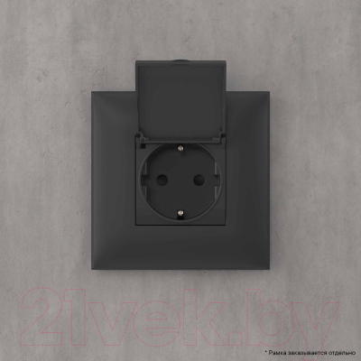 Розетка DKC Avanti 2P+E / 4412013