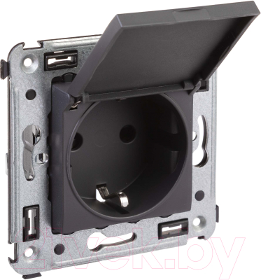 Розетка DKC Avanti 2P+E / 4412013