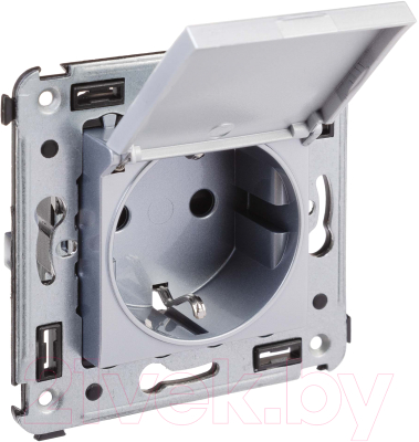Розетка DKC Avanti / 4404013
