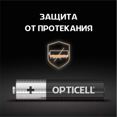 Комплект батареек Opticell Basic AAA 5051011