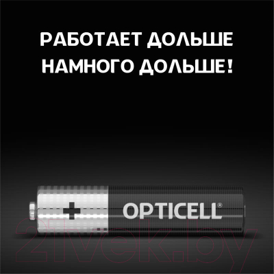 Комплект батареек Opticell Basic AAA 5051011
