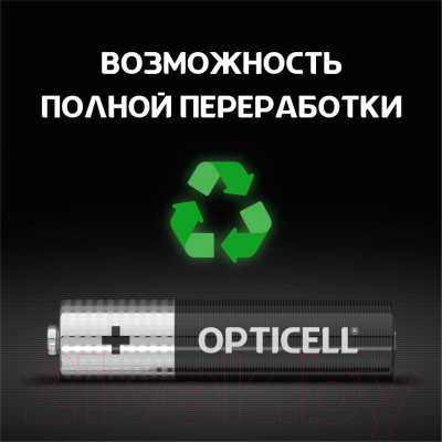 Комплект батареек Opticell Basic AAA 5051011