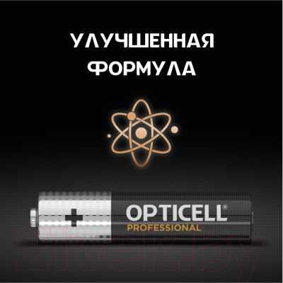 Комплект батареек Opticell Professional AAA 5052006