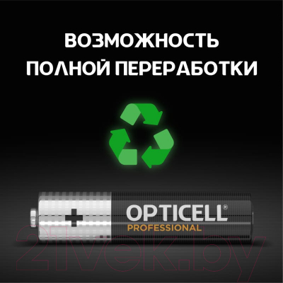 Комплект батареек Opticell Professional AAA 5052006