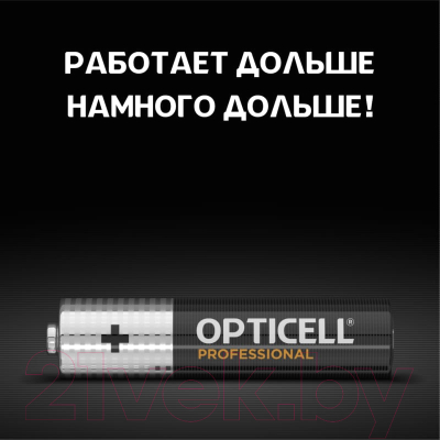 Комплект батареек Opticell Professional AAA 5052006