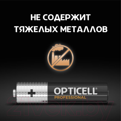 Комплект батареек Opticell Professional AAA 5052006