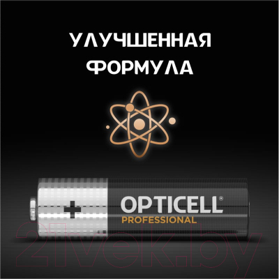 Комплект батареек Opticell Professional AA 5052005