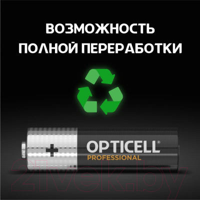 Комплект батареек Opticell Professional AA 5052005