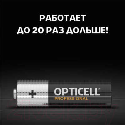 Комплект батареек Opticell Professional AA 5052005