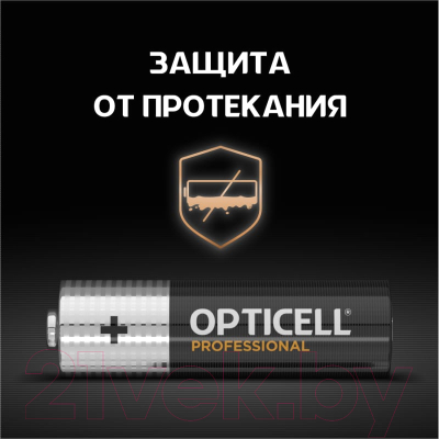 Комплект батареек Opticell Professional AA 5052005