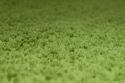 Ковер Витебские ковры Микрофибра 21С1-БК/ЭО 11000 20