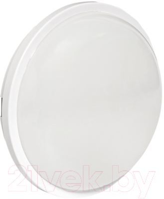 Светильник ЖКХ EKF PROxima BKL-2400DM-R-12-4000 - фото