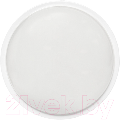 Светильник ЖКХ EKF PROxima BKL-2400DM-R-12-4000