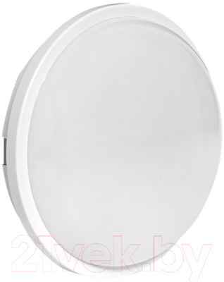 Светильник ЖКХ EKF PROxima BKL-2006-R-20-4000 - фото