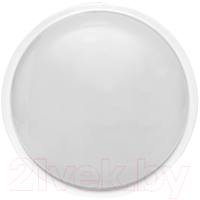 Светильник ЖКХ EKF PROxima BKL-2006-R-20-4000