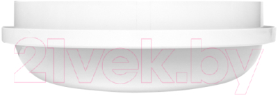 Светильник ЖКХ EKF PROxima BKL-2006-R-20-4000