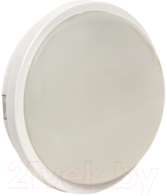 Светильник ЖКХ EKF PROxima BKL-2003-R-15-4000 - фото