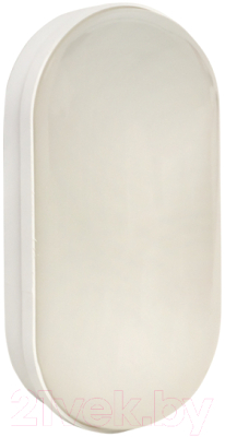 Светильник ЖКХ EKF PROxima BKL-2004-V-8-4000 - фото