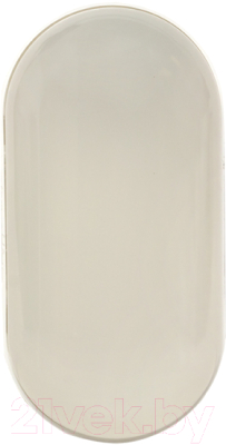 Светильник ЖКХ EKF PROxima BKL-2004-V-8-4000