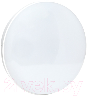 Светильник ЖКХ EKF PROxima BKL-2800DA-R-12-6500 - фото