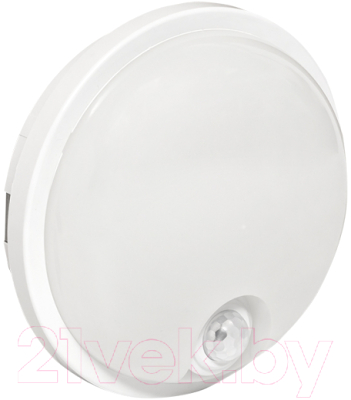 Светильник ЖКХ EKF PROxima BKL-2300DI-R-15-4000 - фото