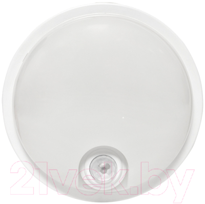 Светильник ЖКХ EKF PROxima BKL-2300DI-R-15-4000