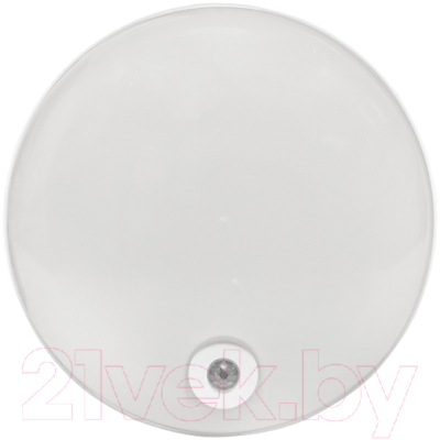 Светильник ЖКХ EKF PROxima BKL-2200DI-R-12-6500