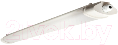 Светильник линейный EKF PROxima ДСП-1006-L 36Вт 6500К IP65 1200мм / TPL-1006-36-6500-L - фото