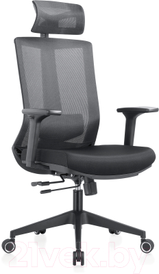 Кресло офисное Evolution Ergo Bliss - фото