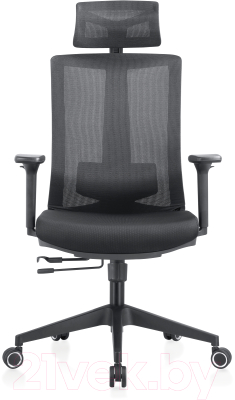 Кресло офисное Evolution Ergo Bliss