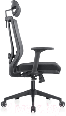 Кресло офисное Evolution Ergo Bliss